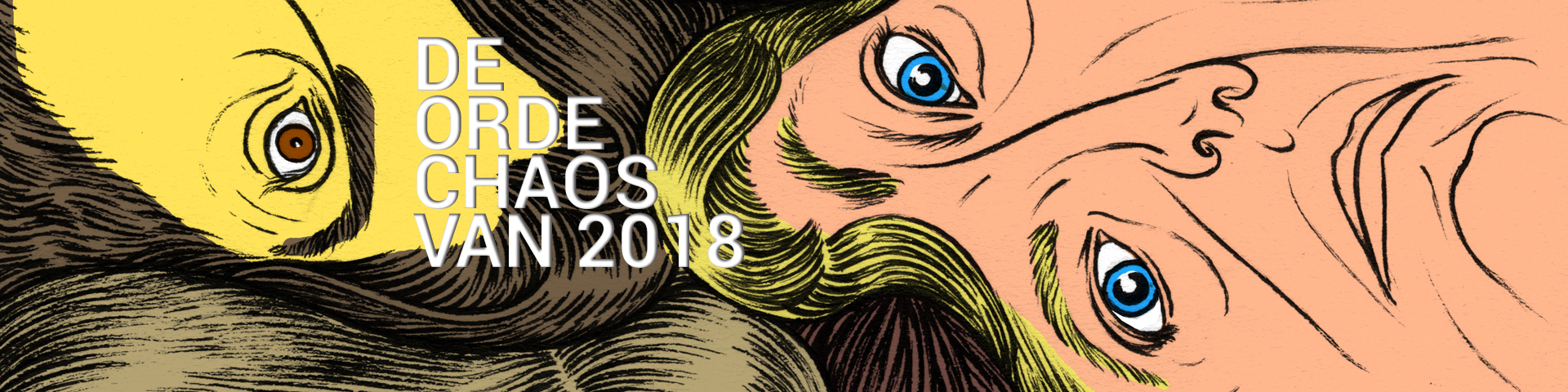 De Orde Chaos Van 2018 De Orde Chaos Van 2018